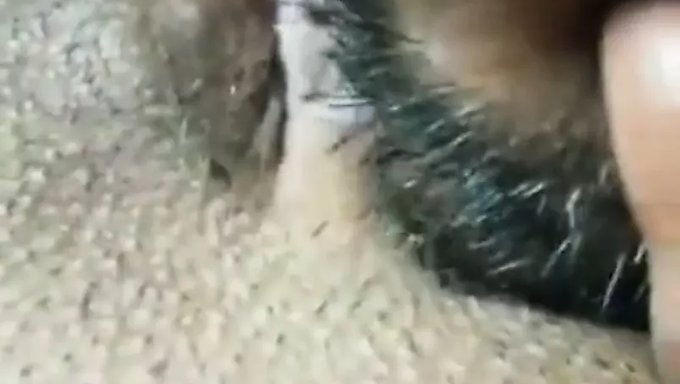 印度少女深喉并在感性视频中吃阴部