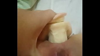 Solace的独奏玩...