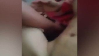 土耳其业余爱好者的阴...