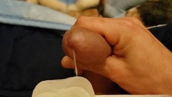 热辣的继母和美丽的胖...