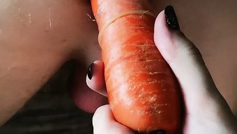 女主人和他们的性玩具...