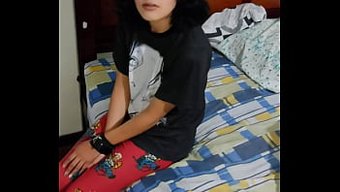 Chibola的自制...