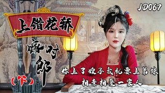 棕色头发的双性恋在软...