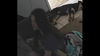 业余妻子热情地口交并...