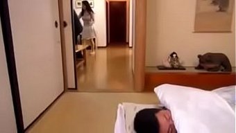 看一个丰满的律师在这...