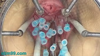 成熟的bdsm:乳头...