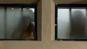 复古美女laura ...