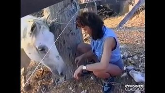 复古的棕发女郎在乡村狂野