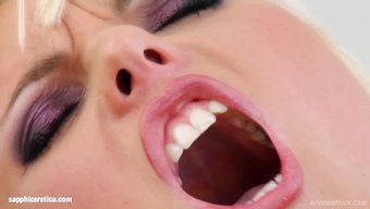 独自的女孩桑德拉·桑...
