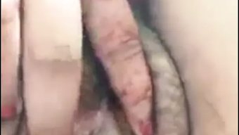 丰满的宝贝在独奏视频...