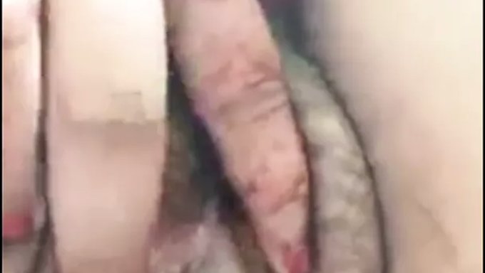 大胸部和阴部的女孩表演热辣的表演