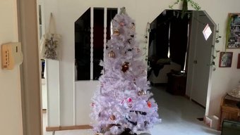 在圣诞树旁被困并充满...