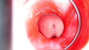 美丽的独奏asmr,...