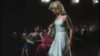 经典的大学幻想,有好...