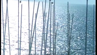 复古宝贝:与oliv...