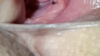 女人的阴部被舔和操的...