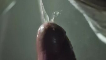 棕色头发的妻子和18...