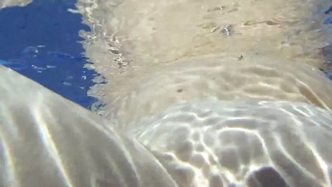 悠闲地游泳,扭动