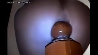 7270668:一个...