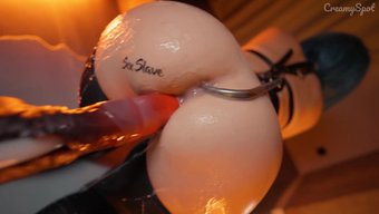 一个bdsm训练中,...