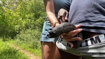 玛丽·克拉伦斯的淘气...