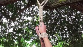 Bdsm场景:女人在...
