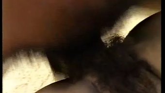 死亡复古团体:Sim...