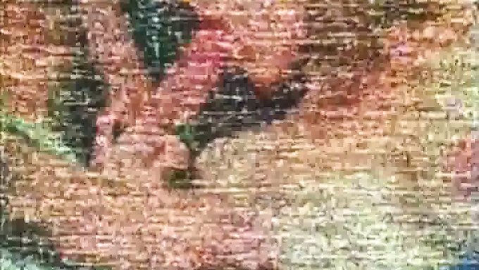 1982年复古性爱视频中的色情明星群交