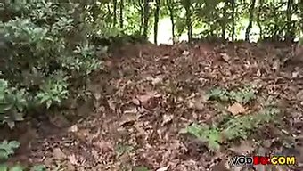 亲吻和亲密的性行为