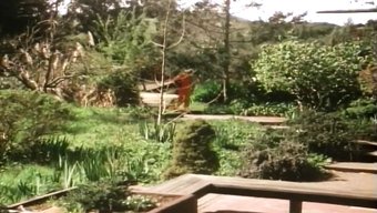 复古口交和拳交动作
