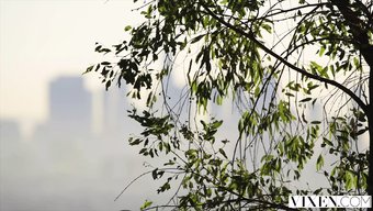 Vixen的大学生在...