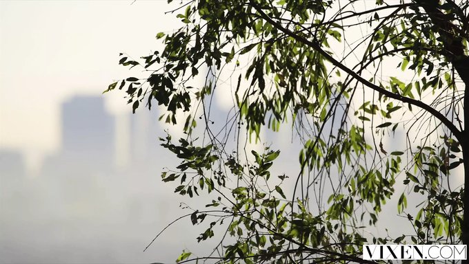 Vixen的大学生在三人行中变得淘气