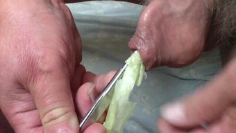 自制包皮玩具的春葱和剪刀