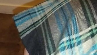 小猫咪卡拉在这个标记...