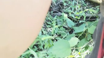 成熟的印度宝贝在森林...