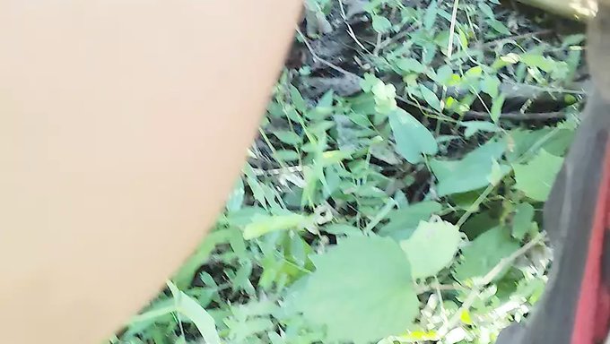 成熟的印度宝贝在森林里被一个阳具丰满的男人操了