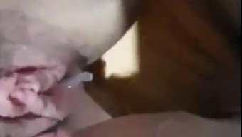 与紧身拉丁美女在高清...