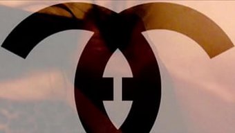 性感的chanel ...