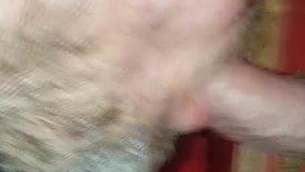 业余爱好者在荣耀洞口...