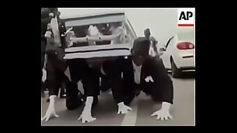 这个性感的宝贝叫什么名字?