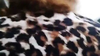 妈妈肮脏的早晨快乐:...