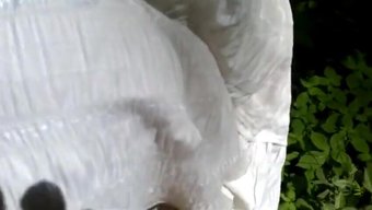 只有和俄罗斯业余爱好...