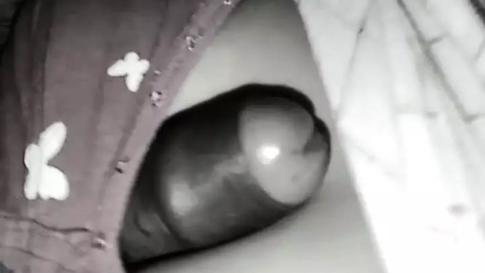 18岁的妻子被深深地喉咙和肛交