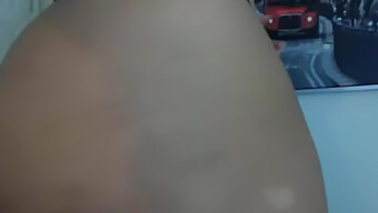 黑美人身上的光滑柔顺...