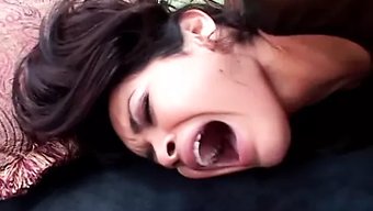胸部丰满的棕发女郎在...
