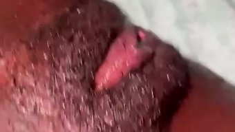 业余黑人色情明星ca...