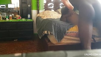 黑人老师的屁股在3d...