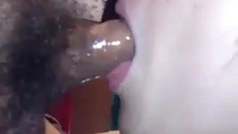 业余亚洲情侣在懒散的...