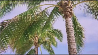 经典色情片恢复完美