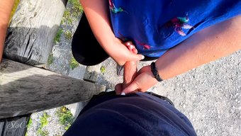 德国金发女郎在湖边公...